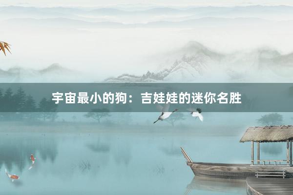 宇宙最小的狗：吉娃娃的迷你名胜