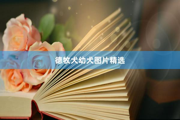 德牧犬幼犬图片精选